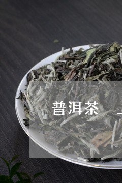 普洱茶 上火/2023042958651